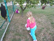 Sklízíme úrodu na zahrádce